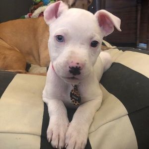 Meet your Posher, Michelle